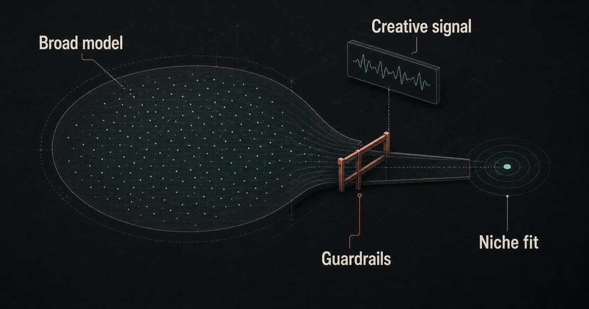 Dark Meta audience blueprint showing Advantage Plus audience automation with music campaign guardrails